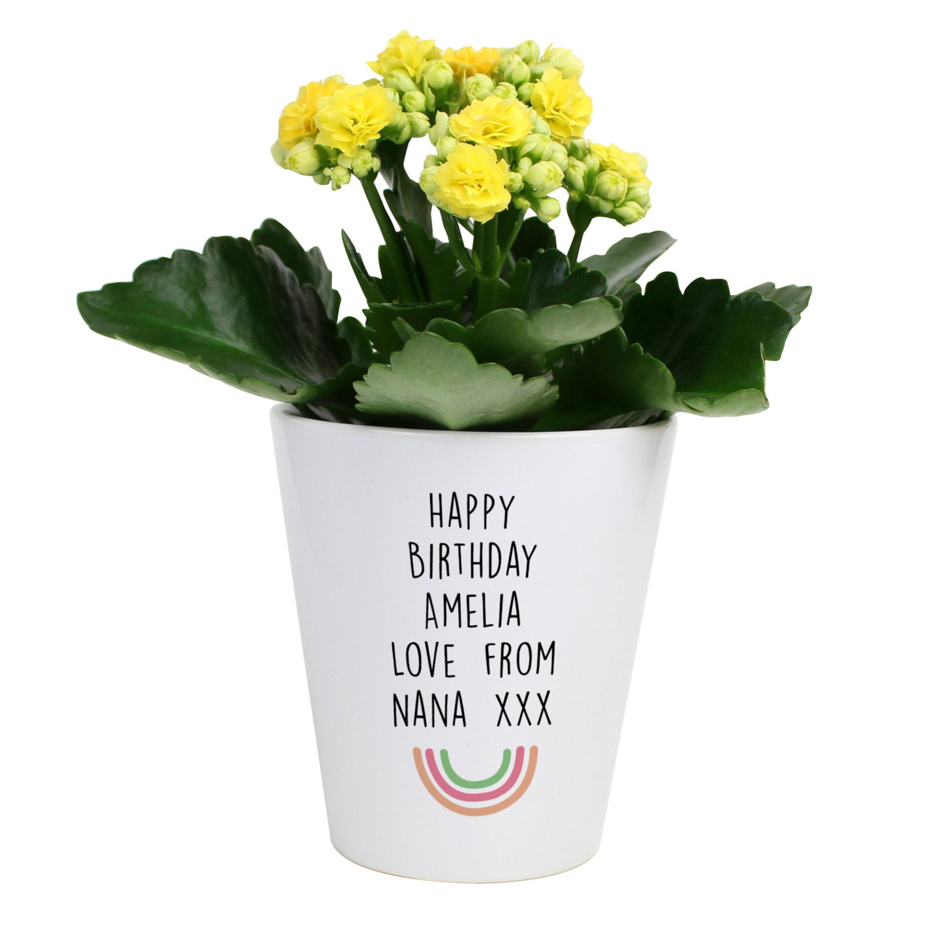 Personalised Rainbow Plant Pot: 4 - Pots & Planters By Gift Moments