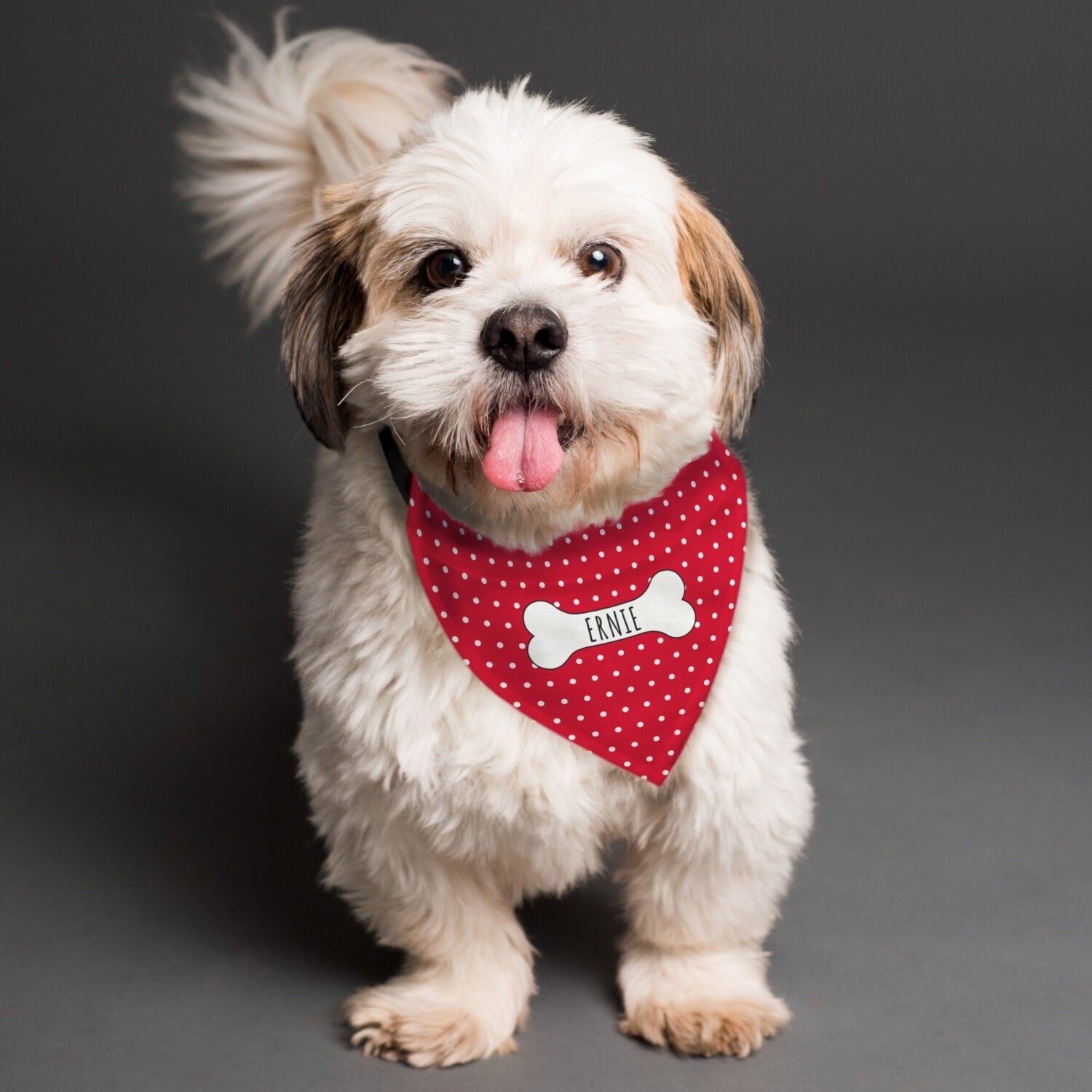 Personalised Red Polka Dot Dog Bandana: 1 - Pet Products By Gift Moments
