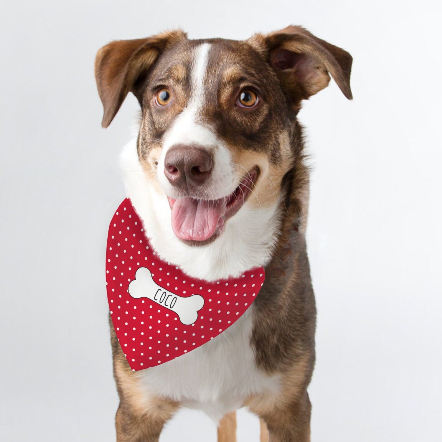 Personalised Red Polka Dot Dog Bandana: 2 - Pet Products By Gift Moments