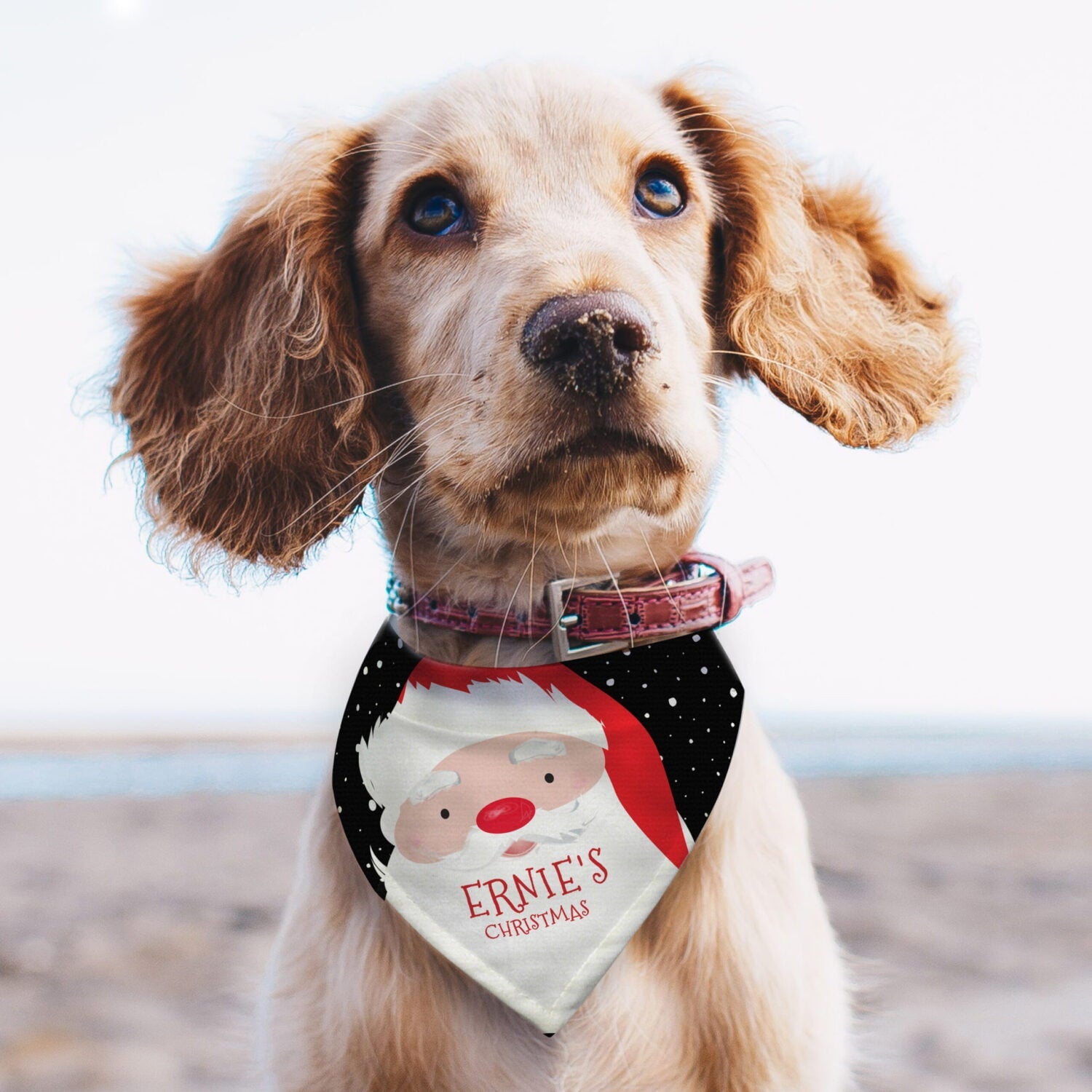 Personalised Santa Dog Bandana: 1 - Pet Products By Gift Moments