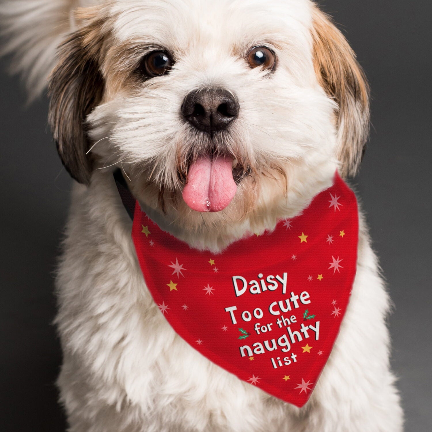Personalised ’Too cute for the naughty list’ Dog Bandana: 2 - Pet Products By Gift Moments