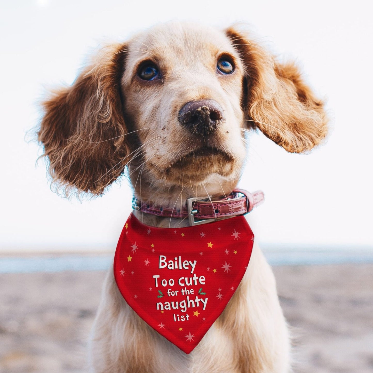 Personalised ’Too cute for the naughty list’ Dog Bandana: 1 - Pet Products By Gift Moments