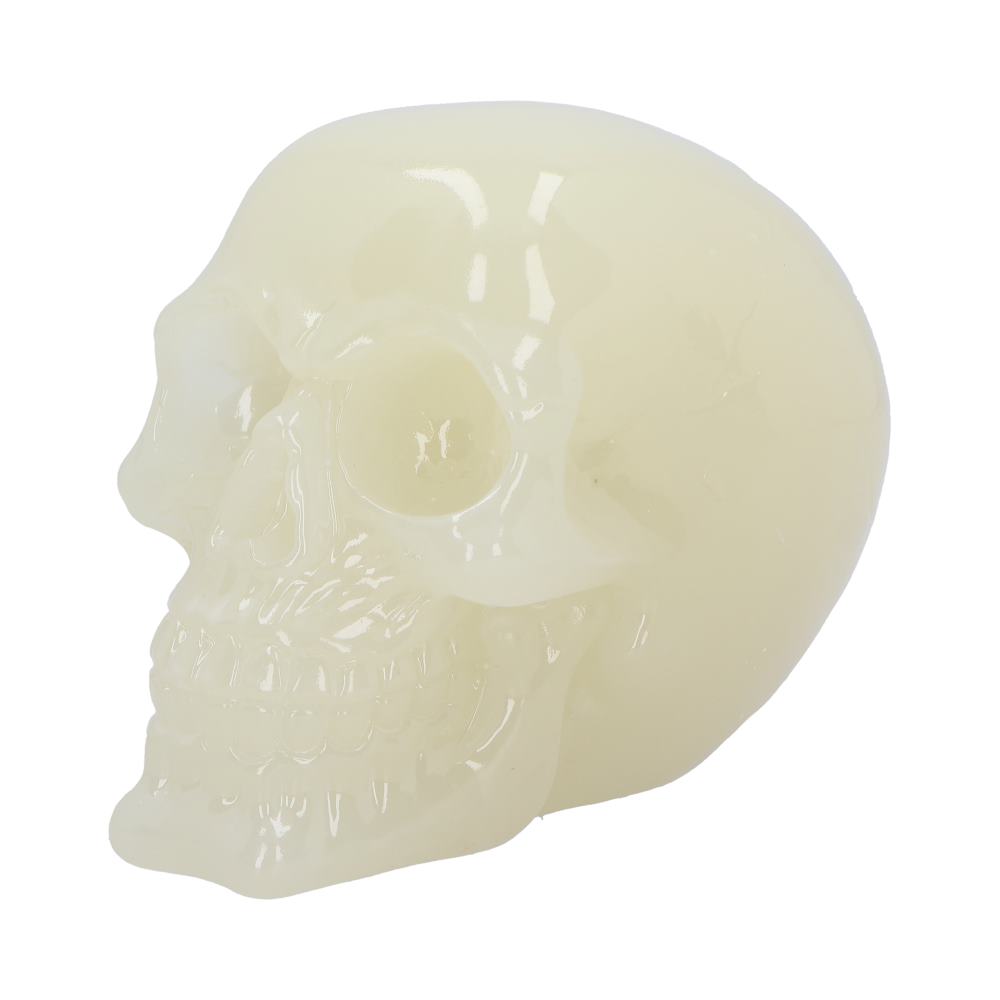Phosphorescent Glow in the Dark Skull: 5 - Figures & Collectables By Gift Moments