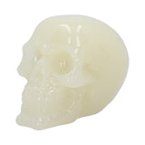 Phosphorescent Glow in the Dark Skull: 5 - Figures & Collectables By Gift Moments
