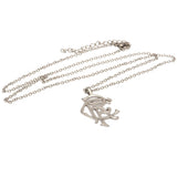 Rangers FC Scroll Crest Stainless Steel Pendant & Chain: 3 Jewellery By Rangers