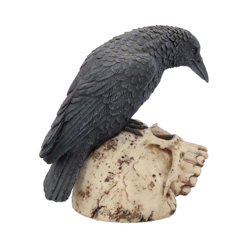 Raven Remains Figurine Crow Skull Gothic Ornament - Shop Figures & Collectables At Gift Moments - 5
