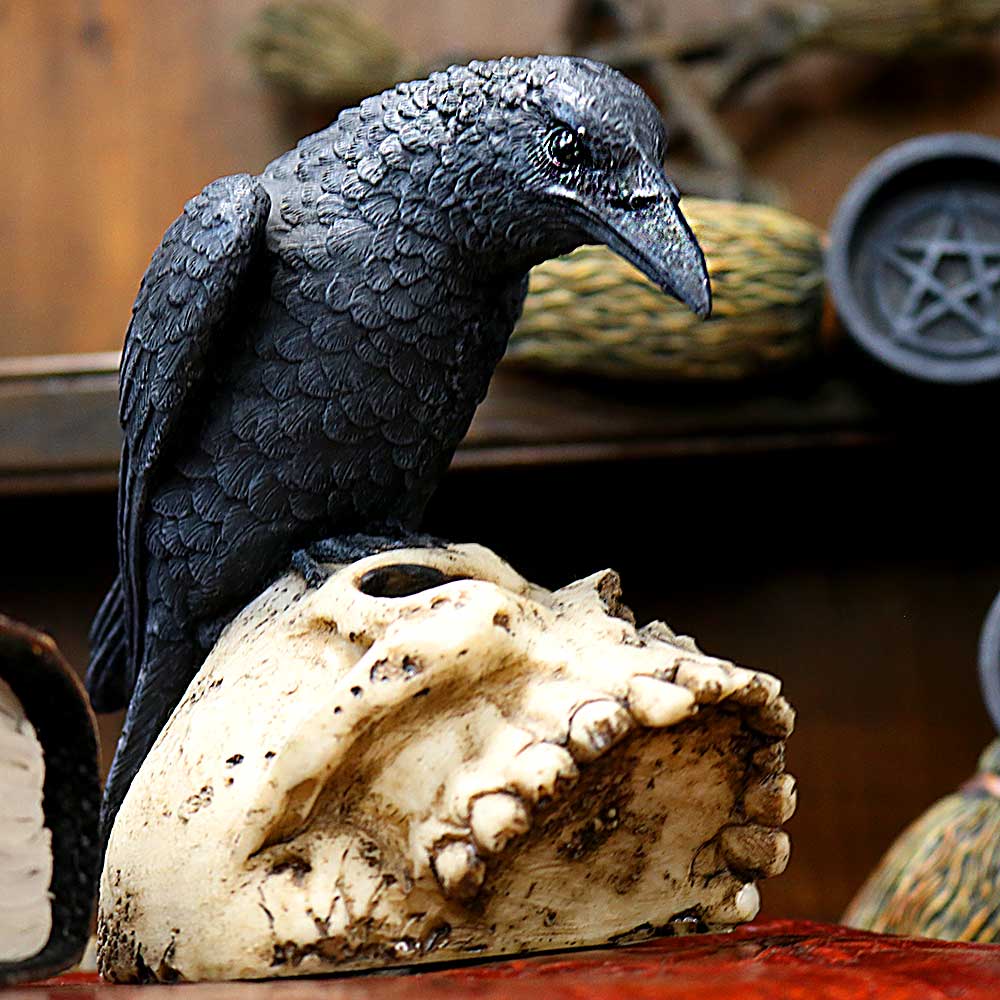 Raven Remains Figurine Crow Skull Gothic Ornament - Shop Figures & Collectables At Gift Moments - 1