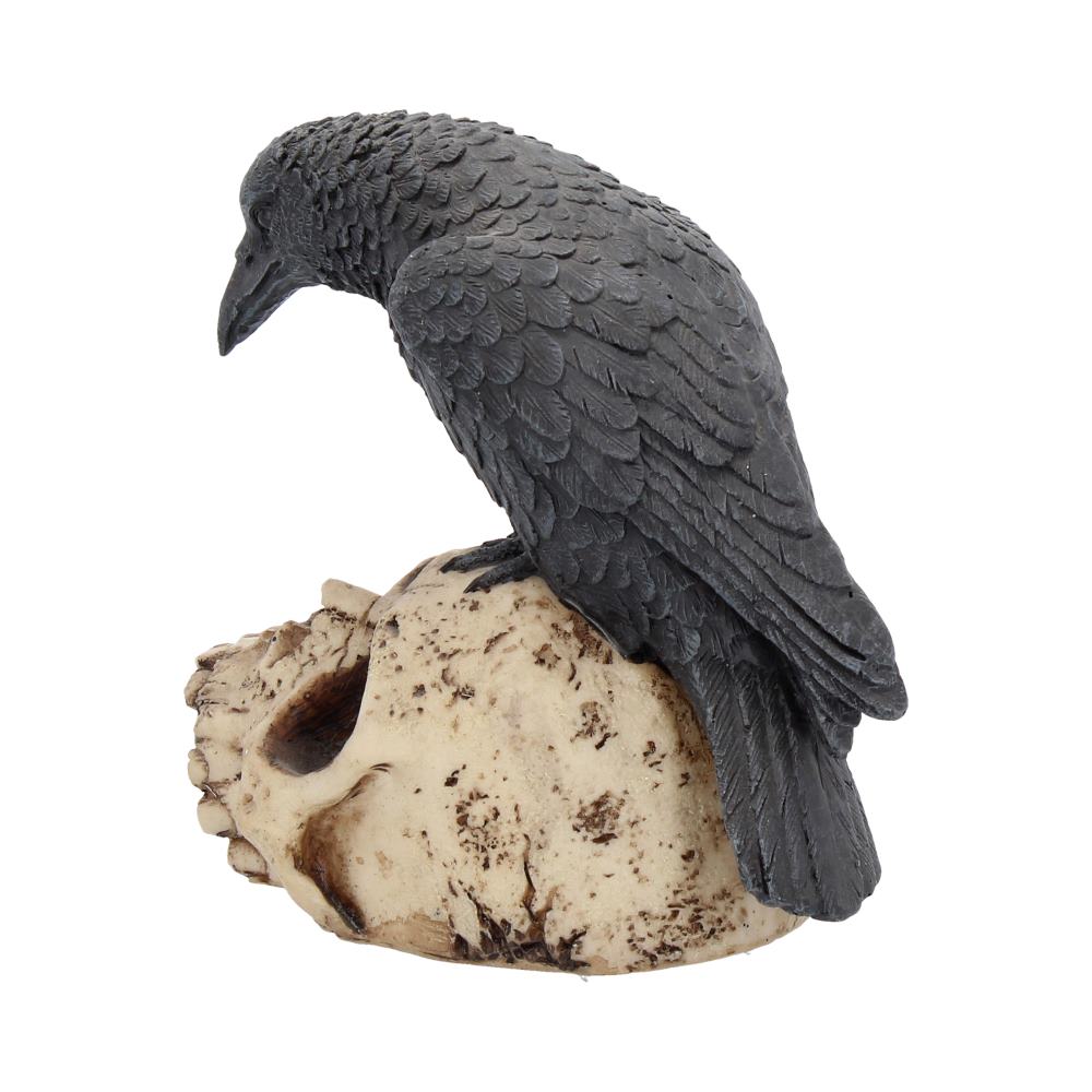 Raven Remains Figurine Crow Skull Gothic Ornament - Shop Figures & Collectables At Gift Moments - 3