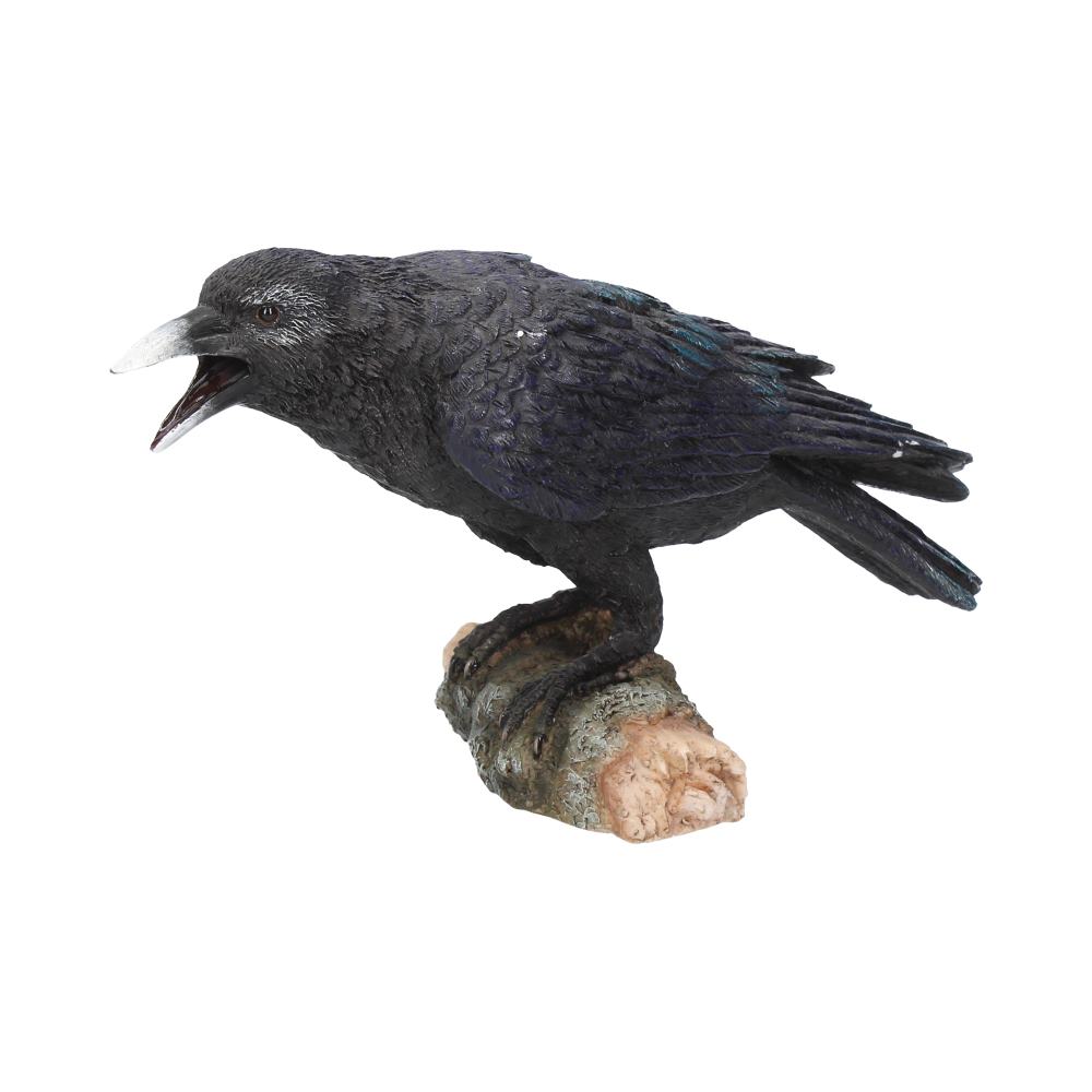 Raven’s Call Figurine Gothic Bird Ornament - Shop Figurines Medium (15-29cm) At Gift Moments - 2