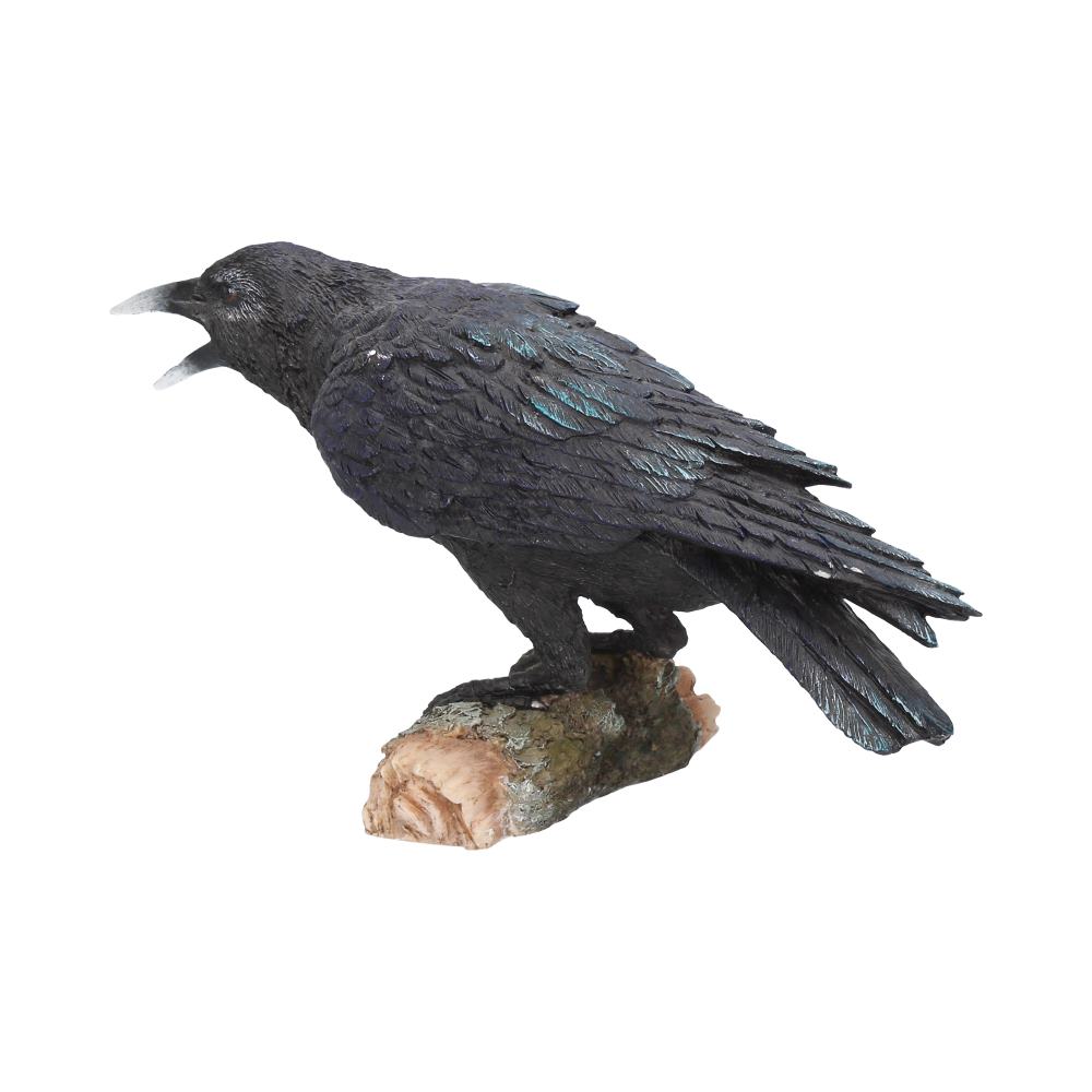 Raven’s Call Figurine Gothic Bird Ornament - Shop Figurines Medium (15-29cm) At Gift Moments - 3