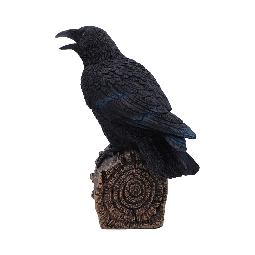 Ravens Cry With Motion Activated Sound: 3 Figurines Medium (15 29cm) By Gift Moments