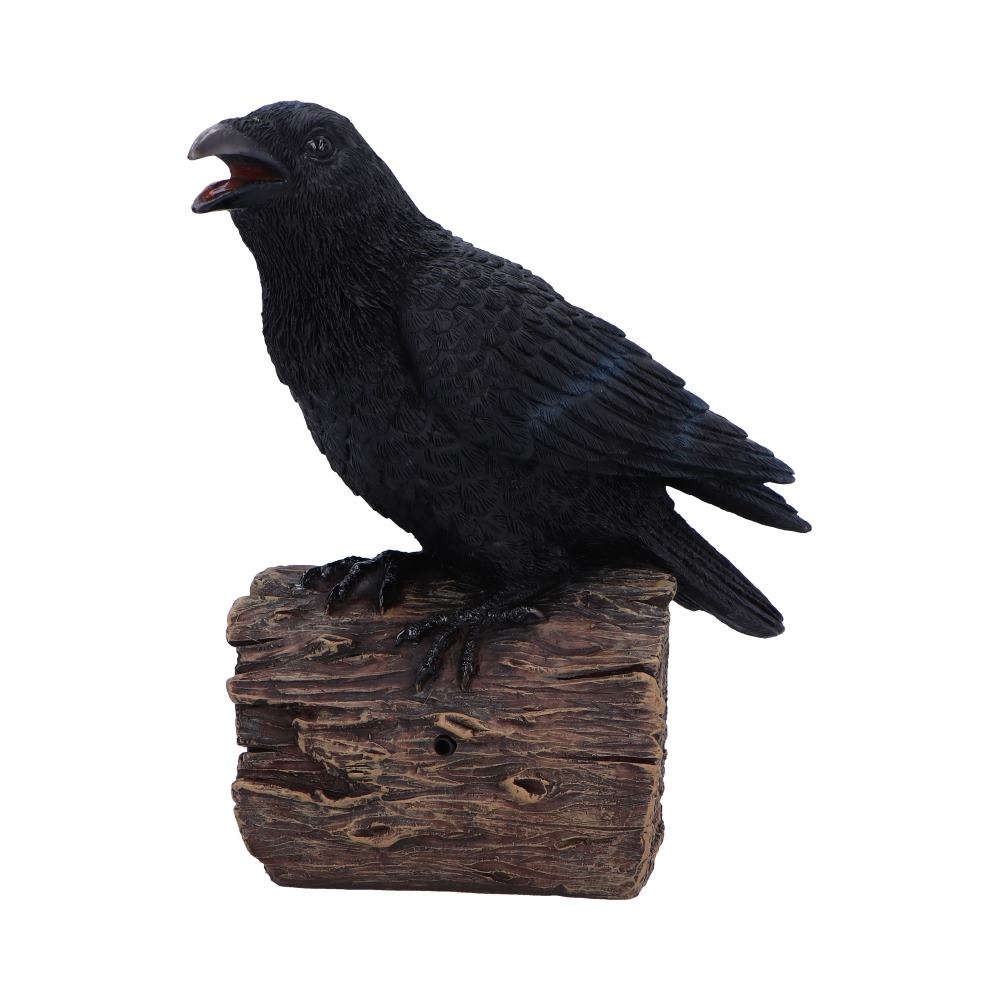 Ravens Cry With Motion Activated Sound: 2 Figurines Medium (15 29cm) By Gift Moments