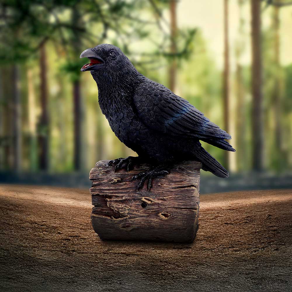 Ravens Cry With Motion Activated Sound: 1 Figurines Medium (15 29cm) By Gift Moments