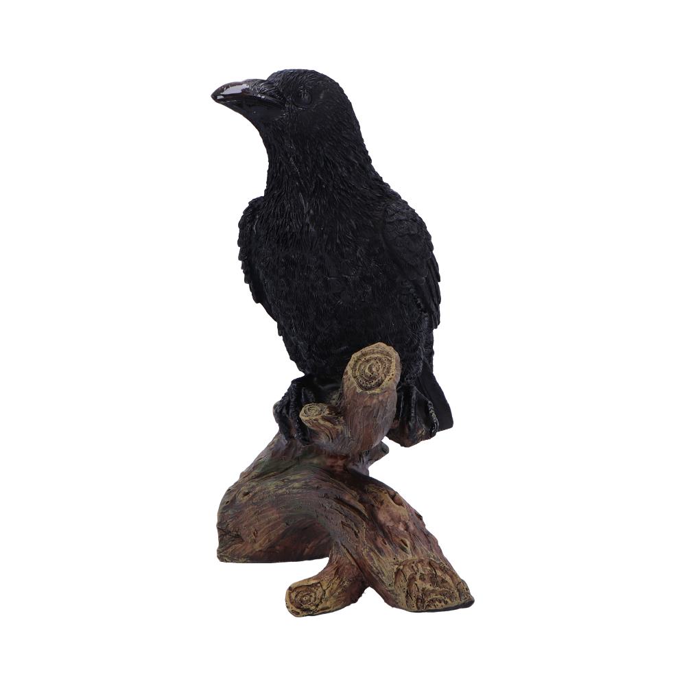 Ravens Perch Resin Figurine - Shop Figurines Medium (15-29cm) At Gift Moments - 3