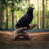 Ravens Perch Resin Figurine: 1 - Figurines Medium (15-29cm) By Gift Moments