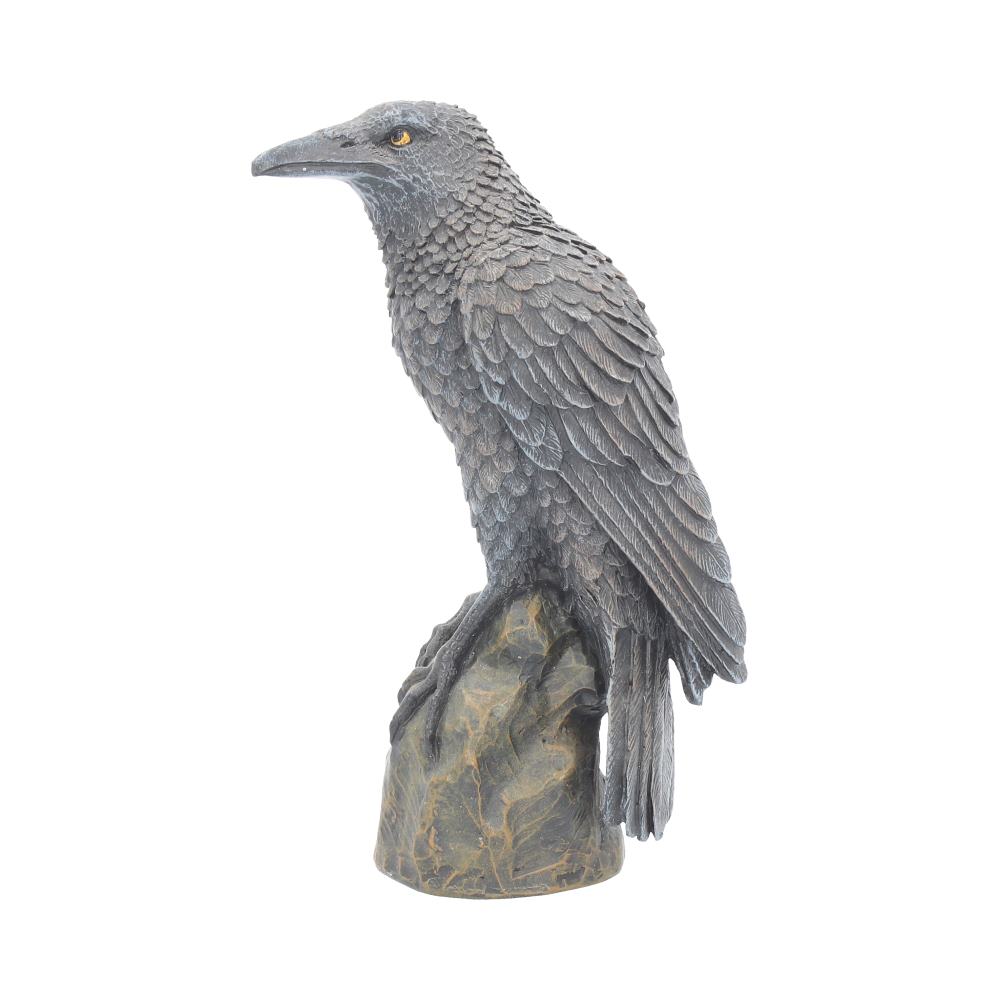 Ravens Rest Figurine Gothic Bird Ornament: 3 - Figures & Collectables By Gift Moments