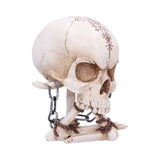The Reckoning Skull Ornament: 5 - Figures & Collectables By NN Designs