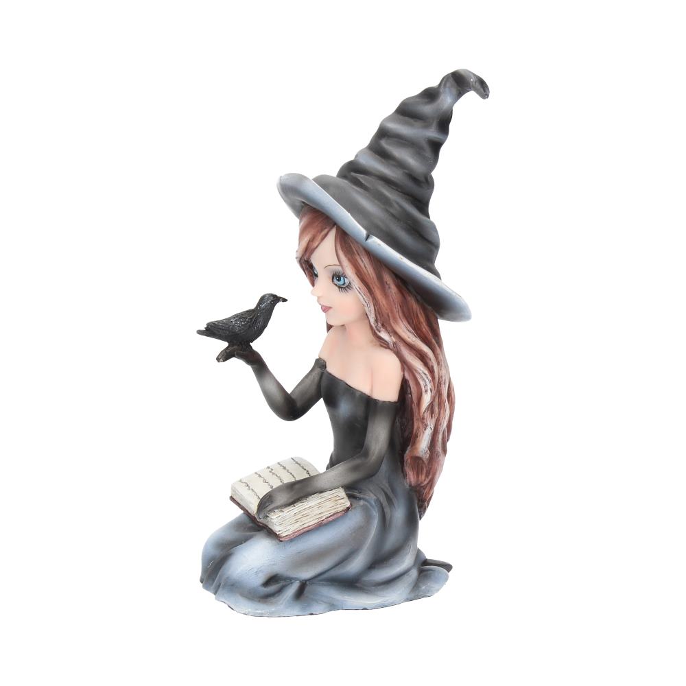Regan Witch & Her Raven Figurine 15cm - Shop Figurines Medium (15-29cm) At Gift Moments - 3