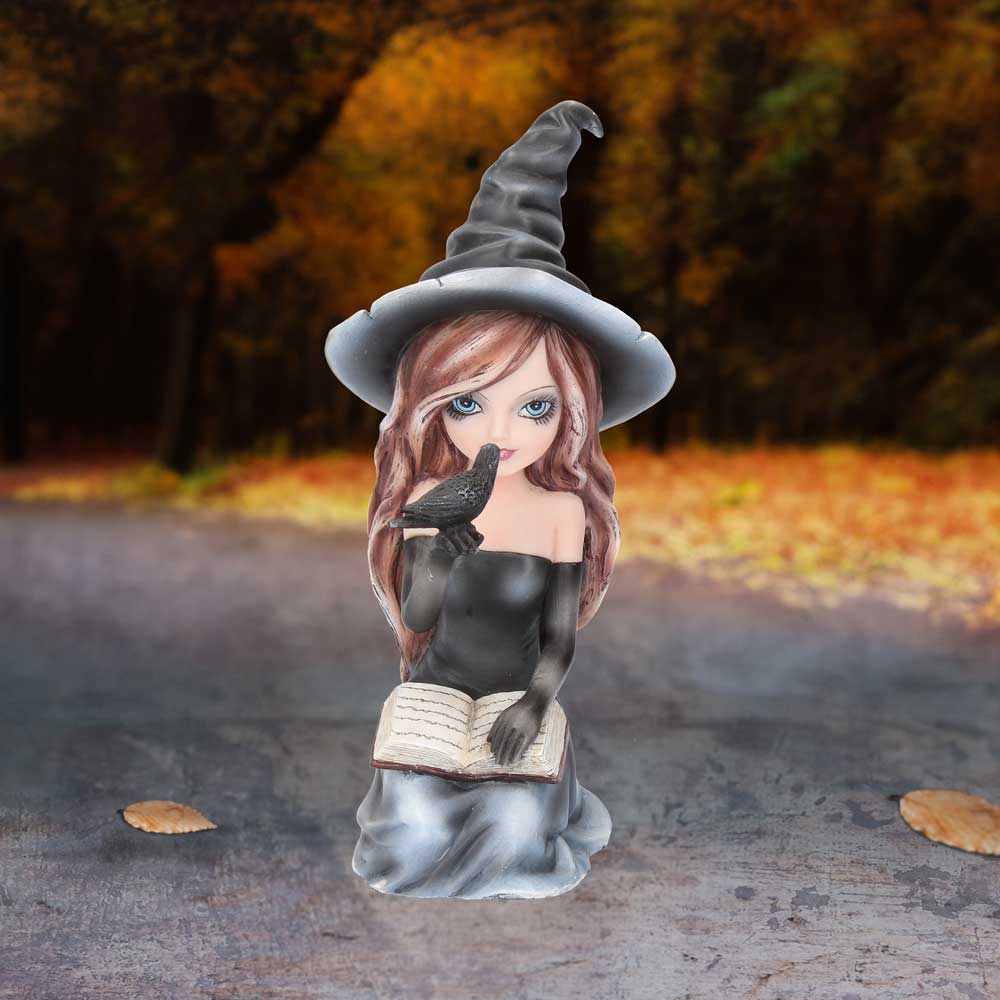 Regan Witch & Her Raven Figurine 15cm - Shop Figurines Medium (15-29cm) At Gift Moments - 1