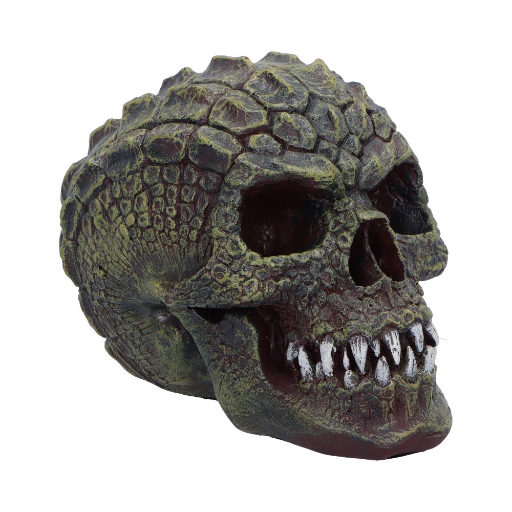 Reptillian Scale Skull 17cm: 2 - Figures & Collectables By Gift Moments