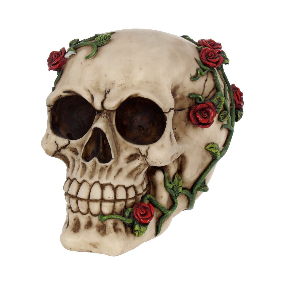 Rose From Beyond Gothic Rose Vine Covered Skull Figurine: 3 - Figurines Medium (15-29cm) By NN Designs