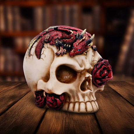 Rose Flame Decorative Skull With Sleeping Dragon: 1 - Figurines Medium (15-29cm) By NN Designs