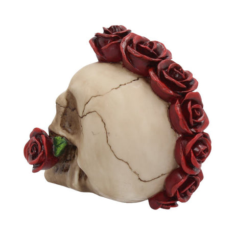 Rosehawk Skull 16cm: 5 - Figures & Collectables By Gift Moments