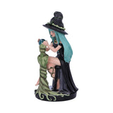 Sage Sugar & Spice Witch Figurine: 3 - Figures & Collectables By NN Designs