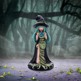 Sage Sugar & Spice Witch Figurine: 1 - Figures & Collectables By NN Designs