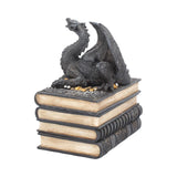 Secrets of the Dragon Box Gothic Skull Books Trinket Box: 5 - Boxes By Gift Moments