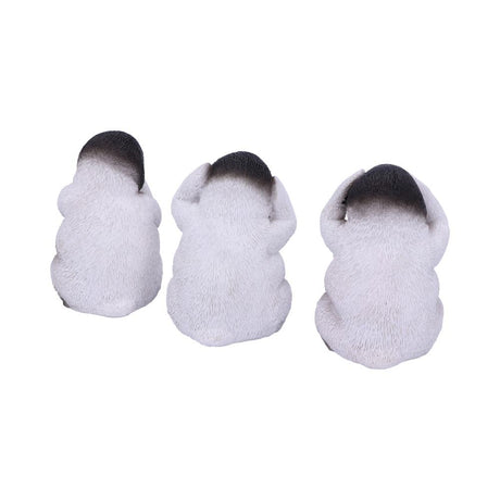 See No Hear No Speak No Evil Emperor Penguin Chick Figurines: 5 - Figures & Collectables By Gift Moments