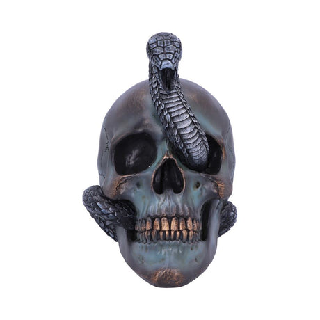 Serpentine Fate Gothic Snake Skull 19cm: 3 - Figures & Collectables By NN Designs