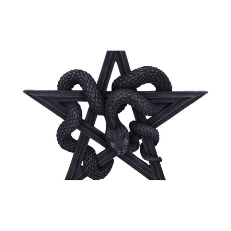 Serpent’s Worship Snake Wall Plaque 24cm: 5 - Wall Hanging Sculptures By Gift Moments