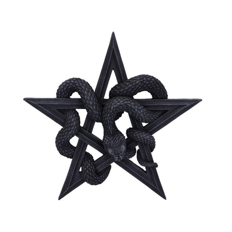 Serpent’s Worship Snake Wall Plaque 24cm: 2 - Wall Hanging Sculptures By Gift Moments