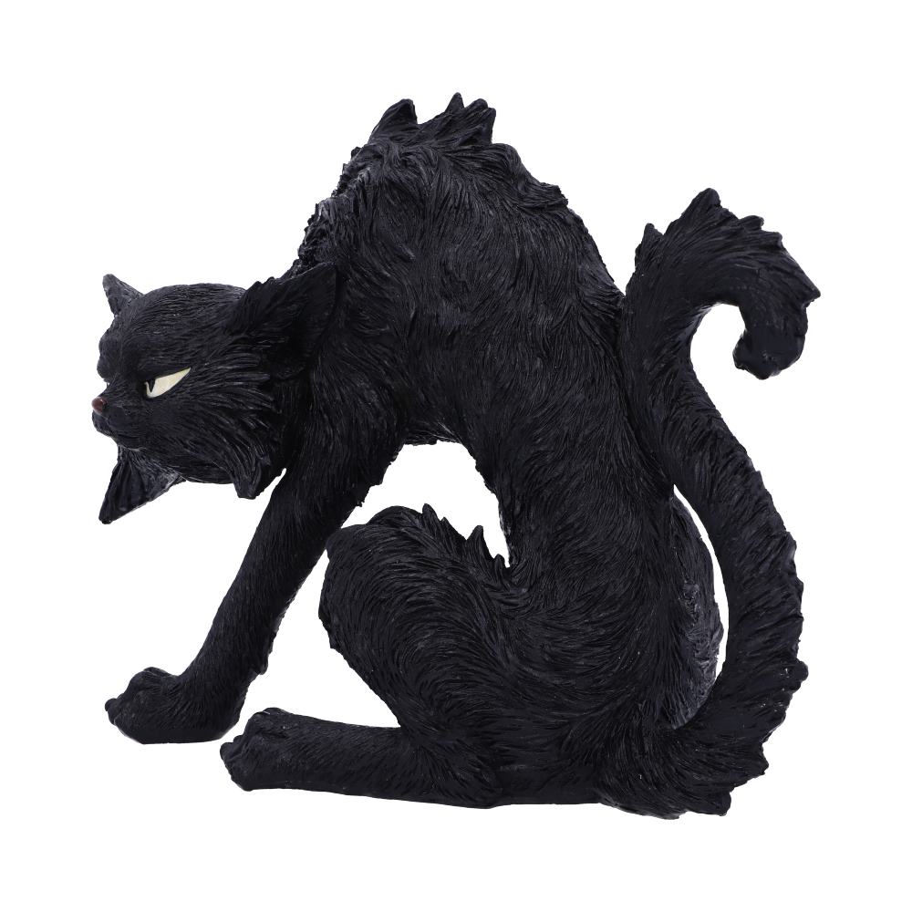 Small Black Cat Witches Familiar Figure Spite 23.5cm: 3 - Figures & Collectables By Gift Moments