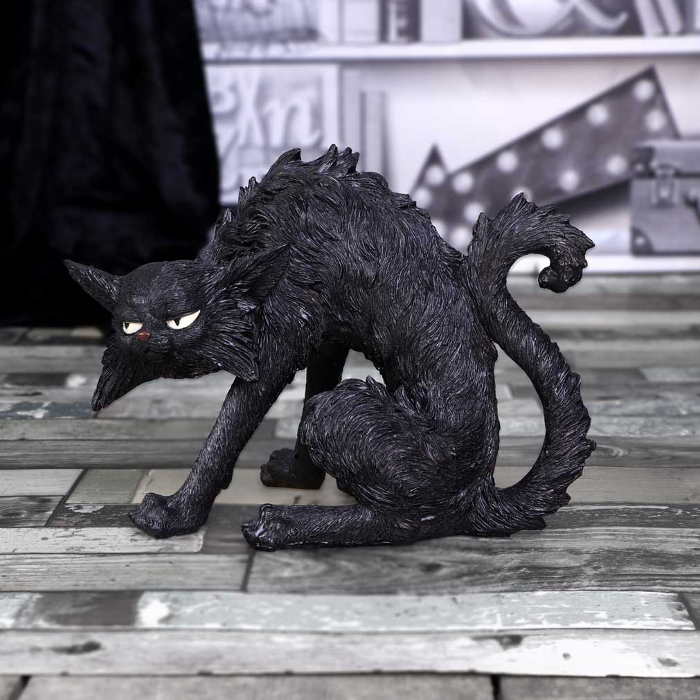Small Black Cat Witches Familiar Figure Spite 23.5cm: 1 - Figures & Collectables By Gift Moments