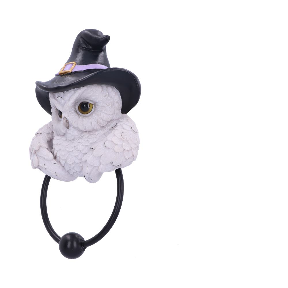 Snowy Owl Magic Door Knocker 21cm - Shop Door Knockers At Gift Moments - 3
