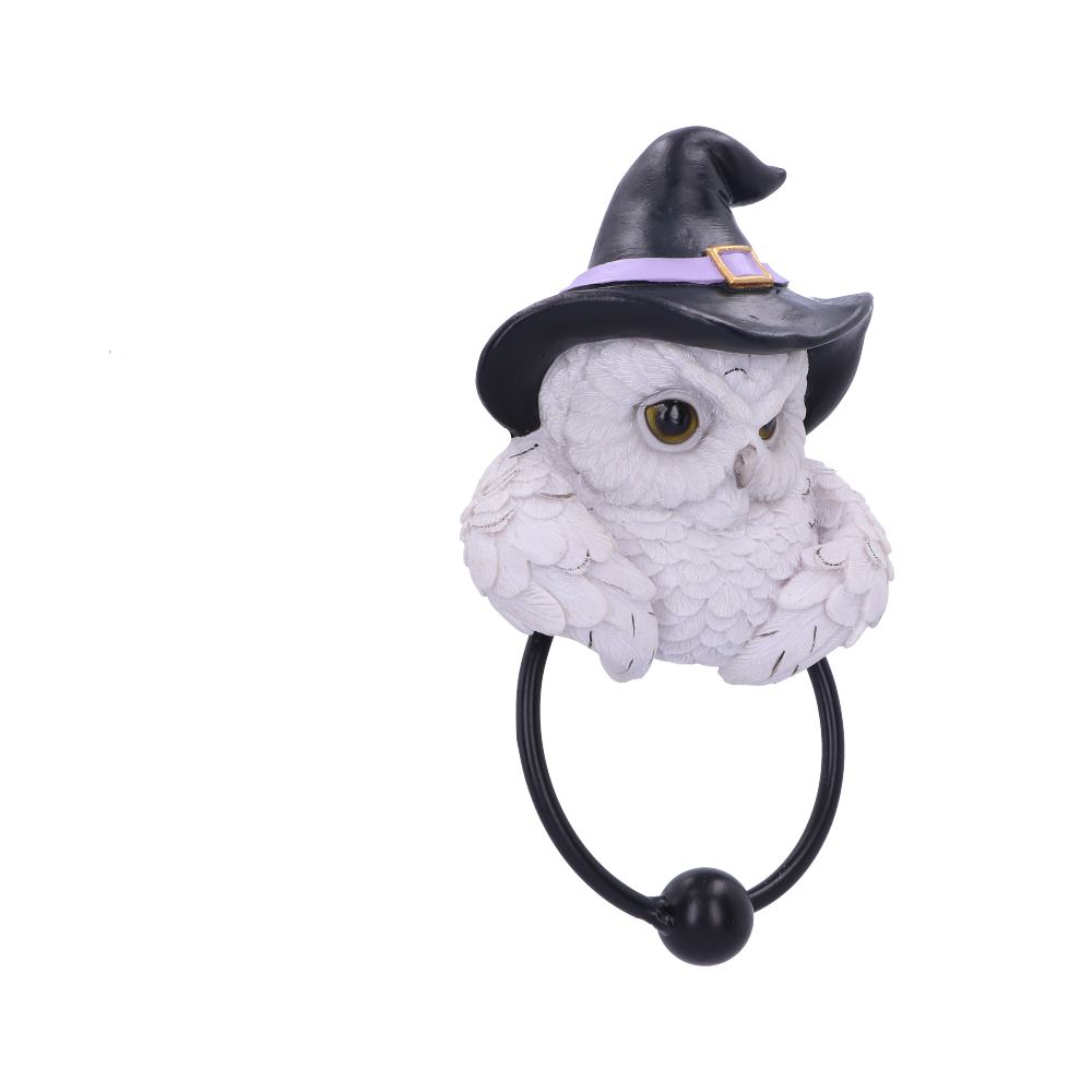 Snowy Owl Magic Door Knocker 21cm: 5 - Door Knockers By Gift Moments