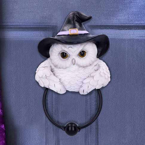 Snowy Owl Magic Door Knocker 21cm: 1 - Door Knockers By Gift Moments