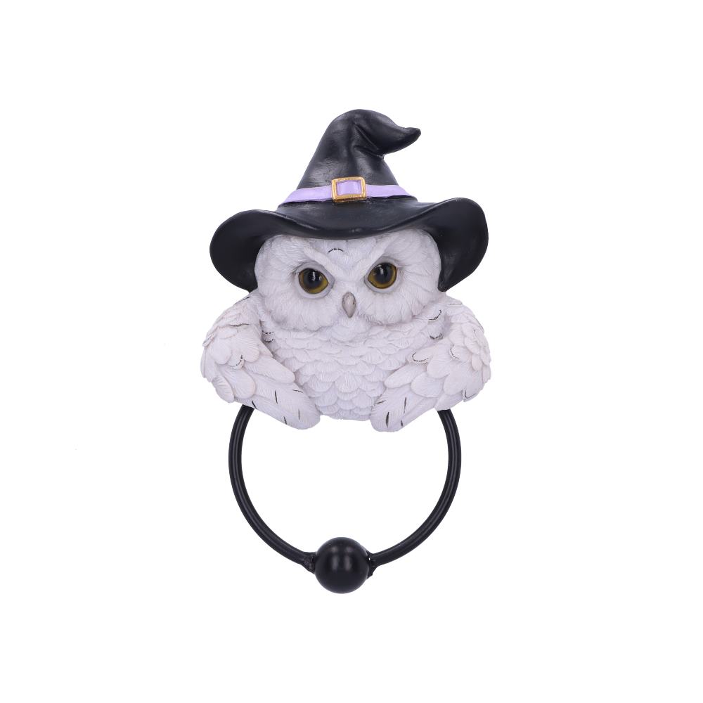 Snowy Owl Magic Door Knocker 21cm: 2 - Door Knockers By Gift Moments