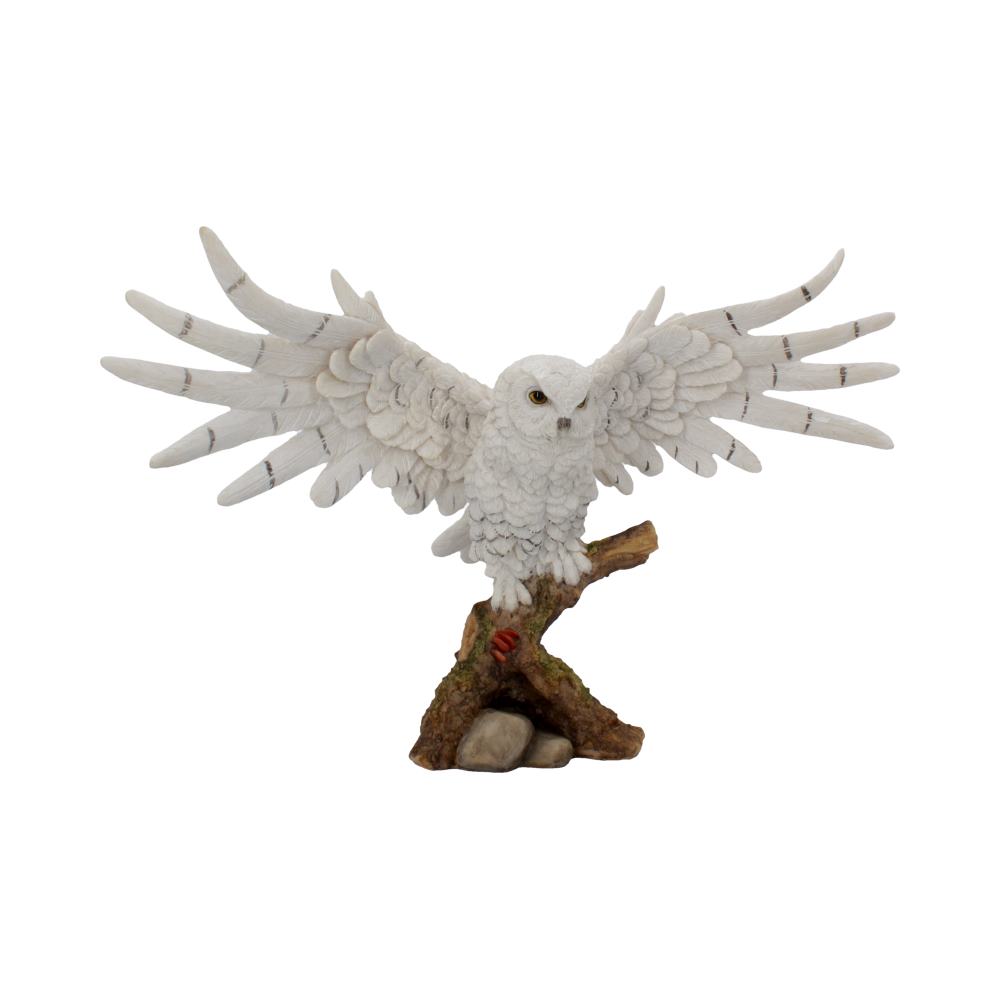 Snowy Rest Beautiful Snowy Owl Figure 38cm: 2 - Figures & Collectables By Gift Moments