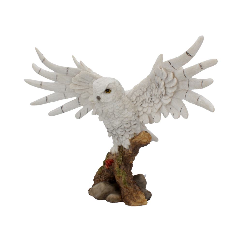 Snowy Rest Beautiful Snowy Owl Figure 38cm: 3 - Figures & Collectables By Gift Moments
