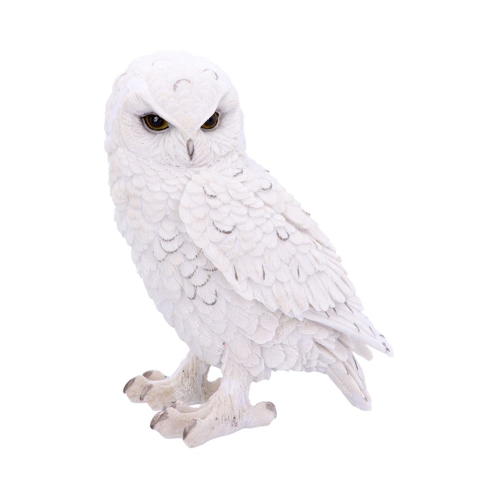 Snowy Watch Large White Owl Ornament: 2 - Figures & Collectables By Gift Moments