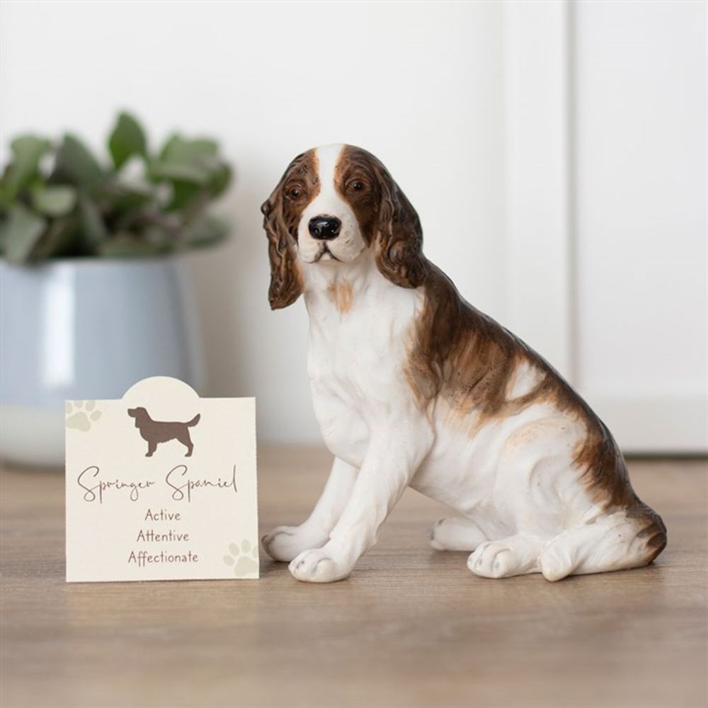 Springer Spaniel Dog Ornament: 1 - Ornaments By Gift Moments