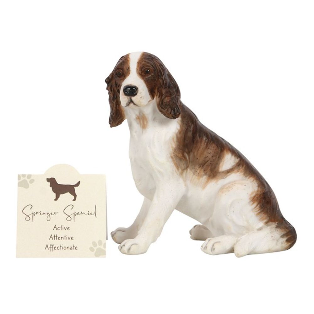 Springer Spaniel Dog Ornament: 2 - Ornaments By Gift Moments