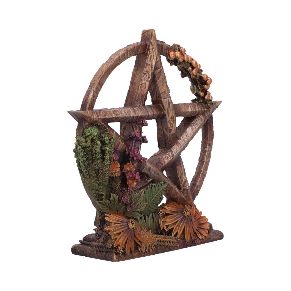 Summer Floral Decorative Pentagram Ornament - Shop Figures & Collectables At Gift Moments - 5