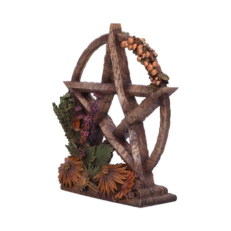 Summer Floral Decorative Pentagram Ornament: 3 - Figures & Collectables By NN Designs