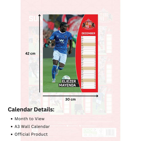 Sunderland AFC A3 Calendar 2026: 5 - Calendars By Sunderland