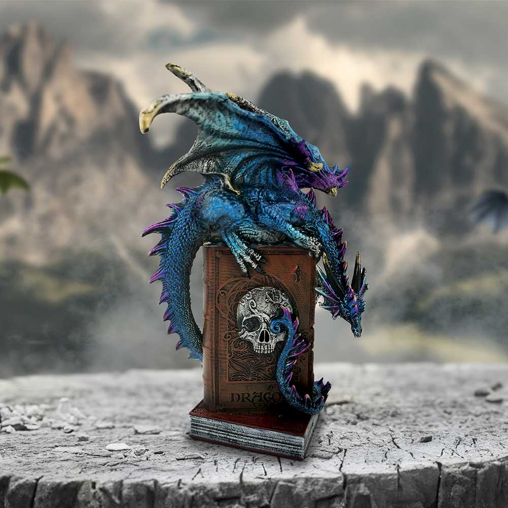 A Tale of Dragons Skull Book Figurine 22cm: 1 - Figures & Collectables By NN Designs