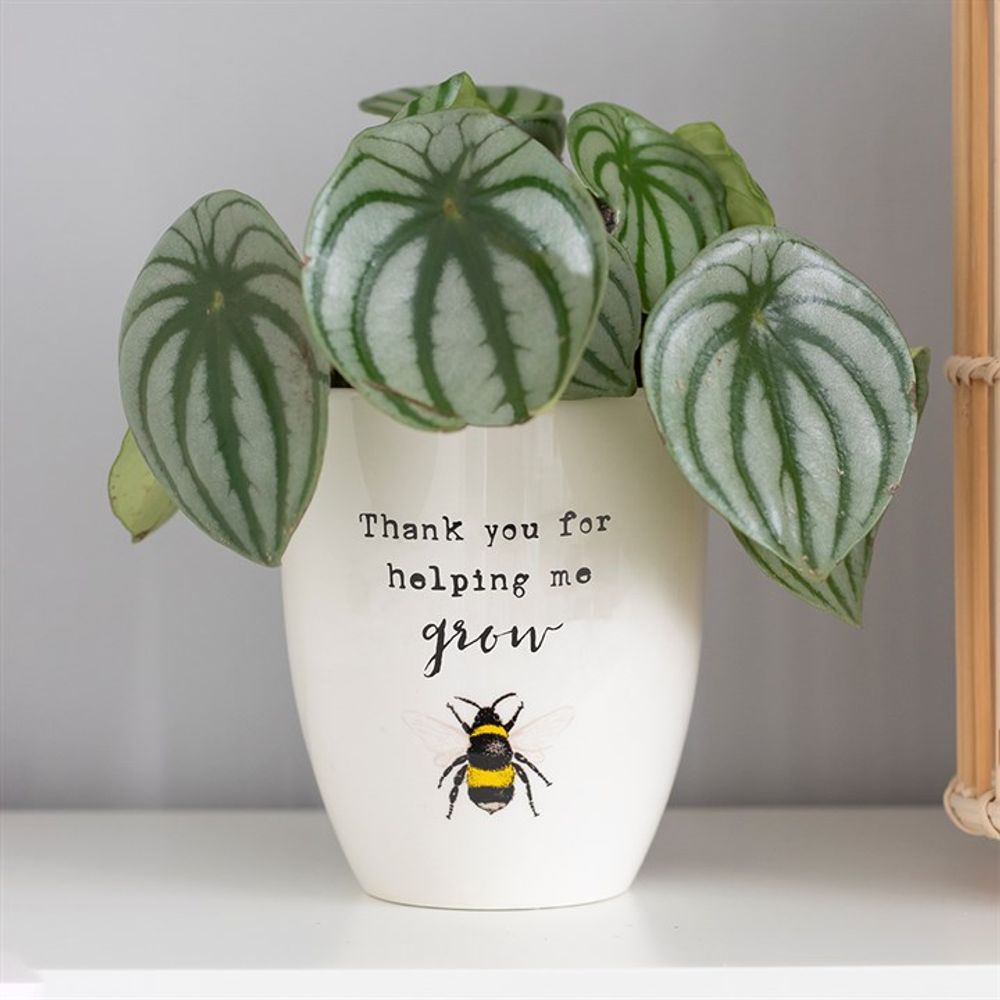 Thank You For Helping Me Grow Ceramic Plant Pot: 1 - Pots & Planters By Gift Moments